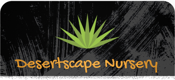 Desertscape Nursery